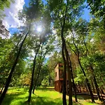 Tree Olszanka דירה *