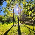 Tree Olszanka דירה