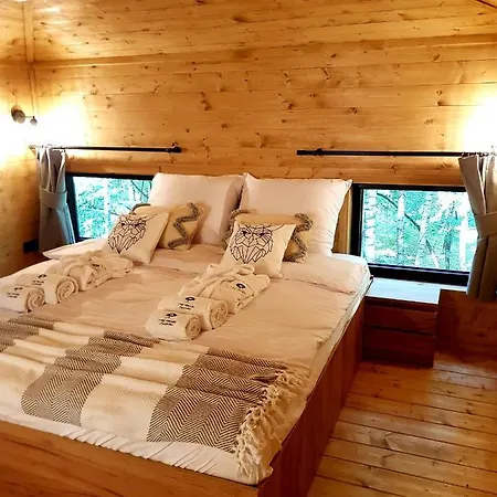 Apartament Tree Olszanka Puszcza Marianska