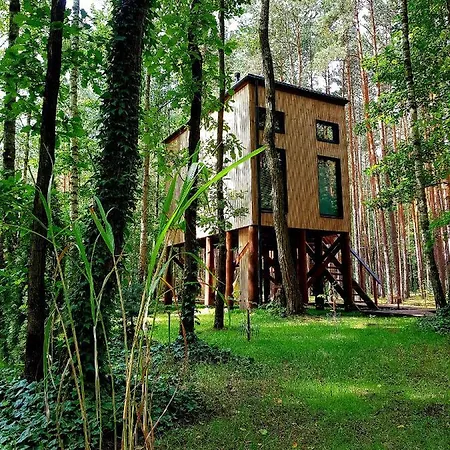 Tree Olszanka * Puszcza Marianska