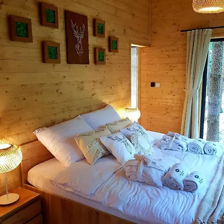 Tree Olszanka Apartament *