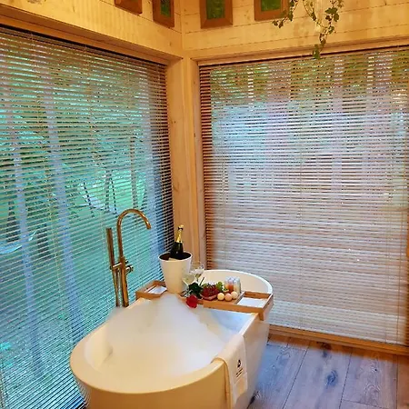 Tree Olszanka * Puszcza Marianska