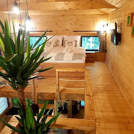 Tree Olszanka Апартаменты Puszcza Marianska