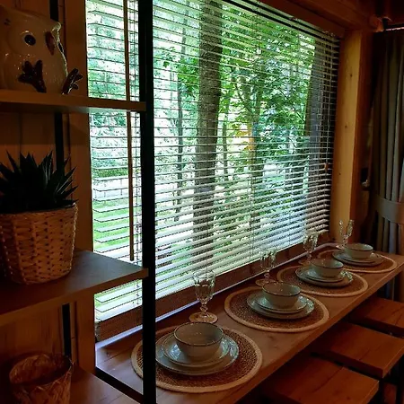 Tree Olszanka * Puszcza Marianska