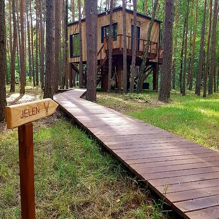 Tree Olszanka アパート *