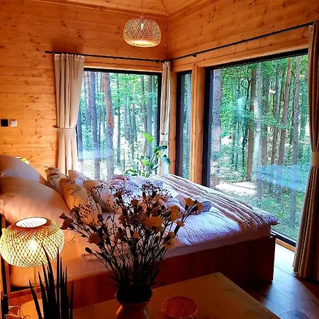 Апартаменты Tree Olszanka Puszcza Marianska