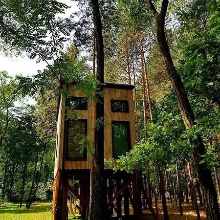 Tree Olszanka アパート *