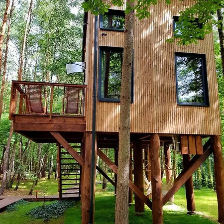 Tree Olszanka アパート