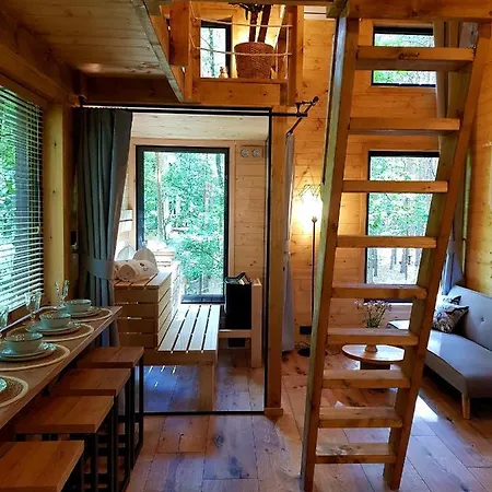 Tree Olszanka アパート Puszcza Marianska