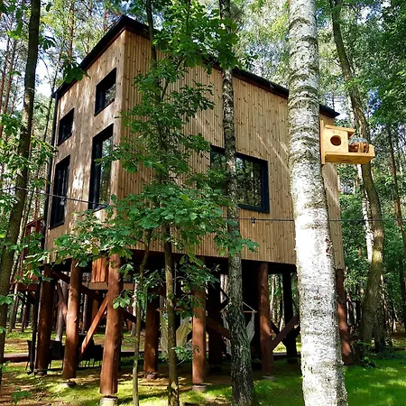 Tree Olszanka * Puszcza Marianska