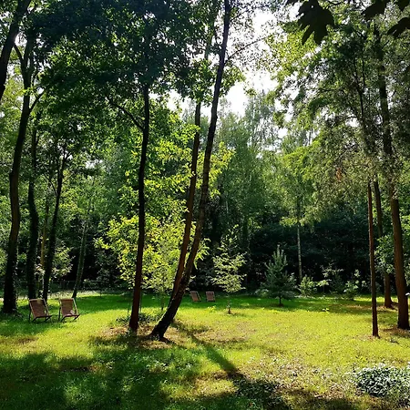 Tree Olszanka Apartament Puszcza Marianska