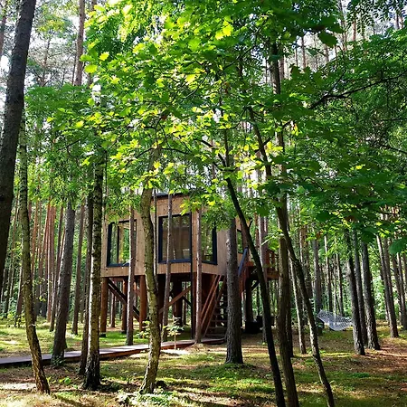 Tree Olszanka Апартаменты *