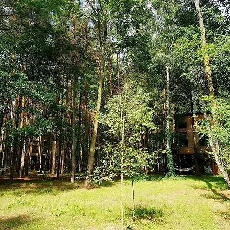 Tree Olszanka アパート *