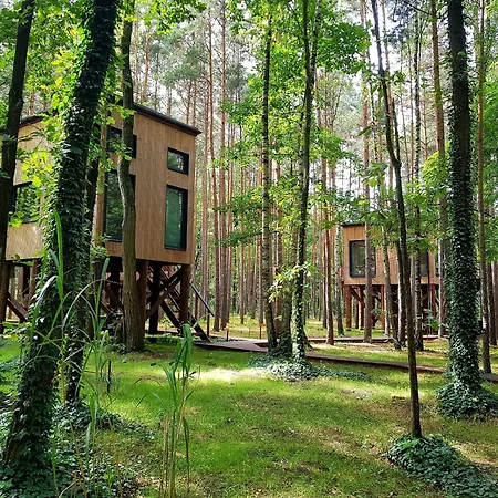 Tree Olszanka * Puszcza Marianska