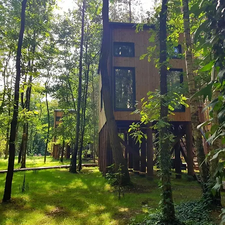 Apartament Tree Olszanka *