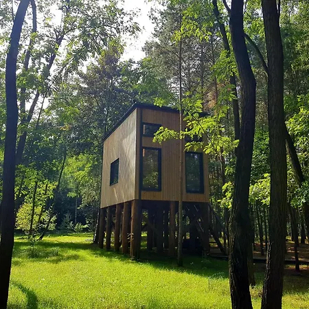 Tree Olszanka Apartament