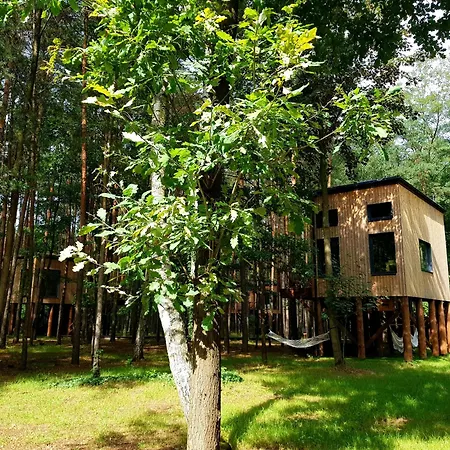 Tree Olszanka アパート *