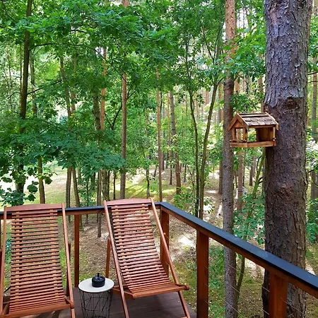 Tree Olszanka * Puszcza Marianska