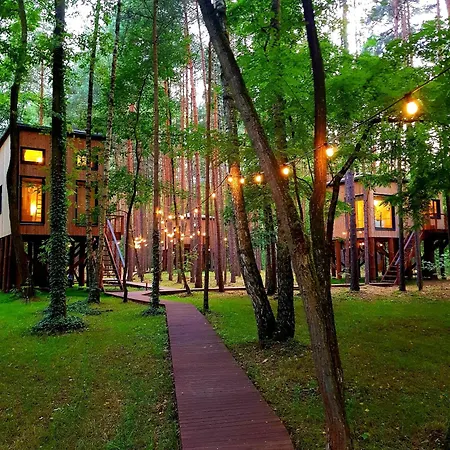 Tree Olszanka Puszcza Marianska