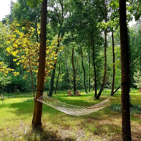 Apartament Tree Olszanka Puszcza Marianska