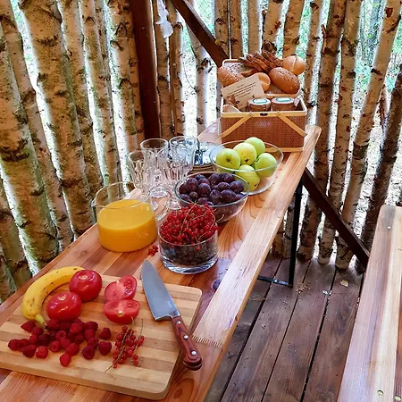 Tree Olszanka * Puszcza Marianska