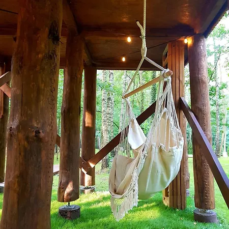 アパート Tree Olszanka *