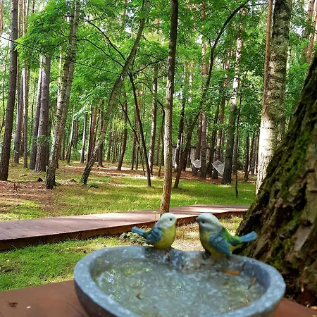 Apartament Tree Olszanka Puszcza Marianska