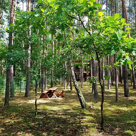 Apartament Tree Olszanka