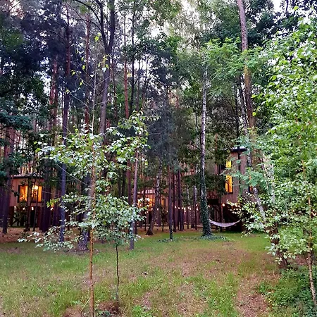 Apartament Tree Olszanka *