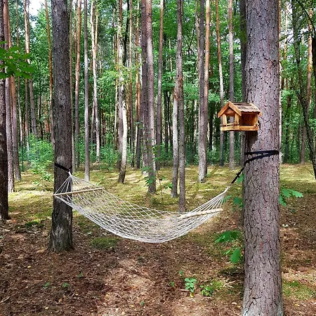 Apartament Tree Olszanka *