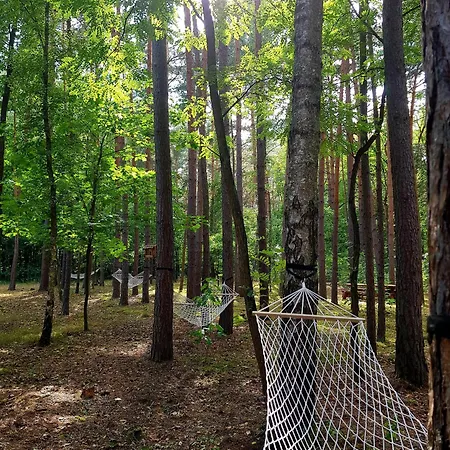 アパート Tree Olszanka Puszcza Marianska