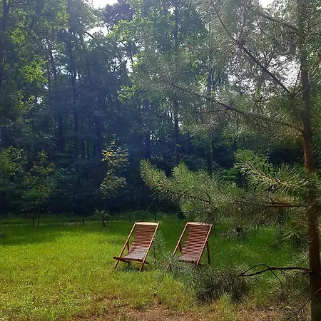 Tree Olszanka * Puszcza Marianska