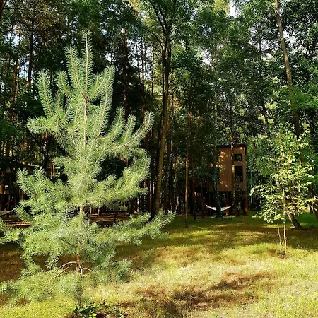 Tree Olszanka * Puszcza Marianska