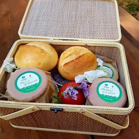 Апартаменты Tree Olszanka *