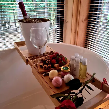 Tree Olszanka Puszcza Marianska