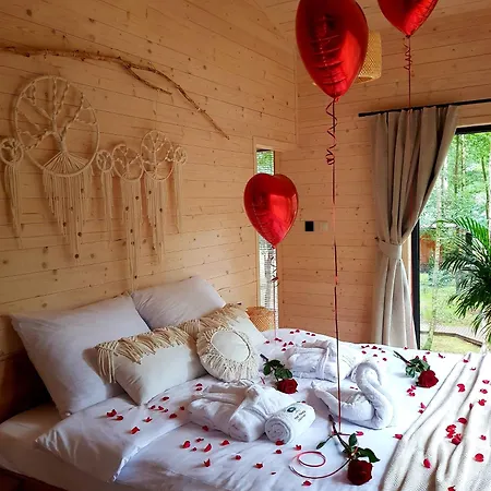 Apartament Tree Olszanka