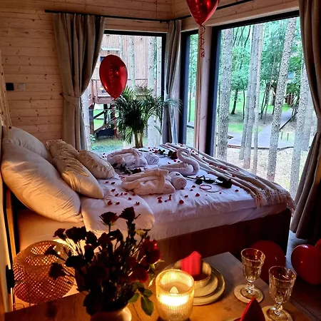 Tree Olszanka アパート *