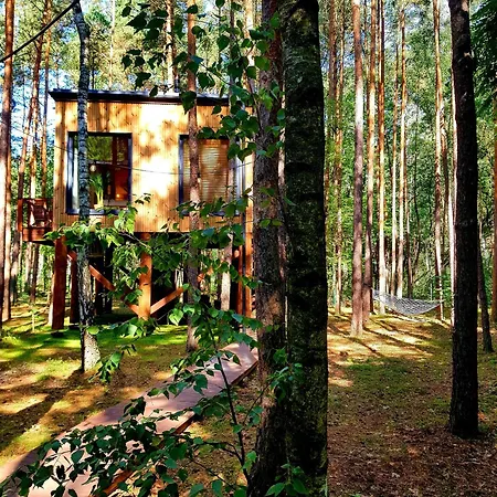 Tree Olszanka * Puszcza Marianska