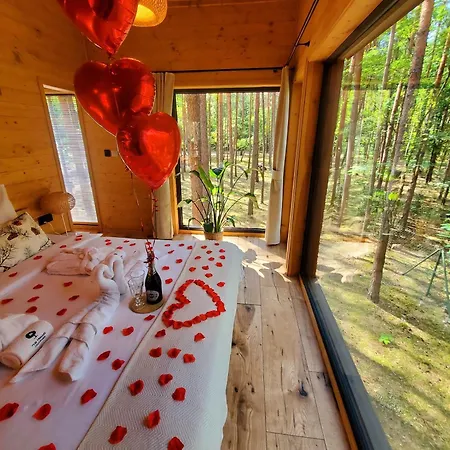 Апартаменты Tree Olszanka