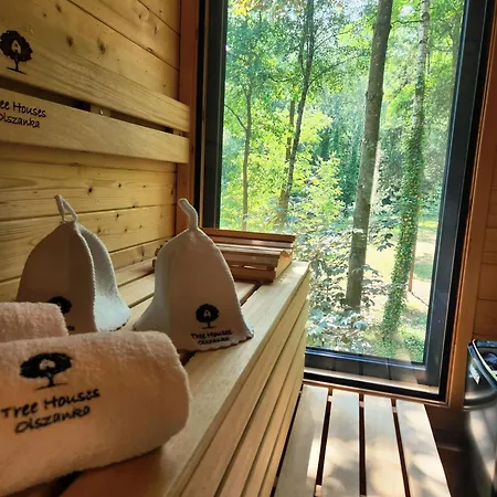 Апартаменты Tree Olszanka Puszcza Marianska