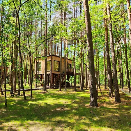 Tree Olszanka Apartament *