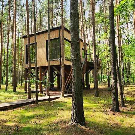 Tree Olszanka Apartament