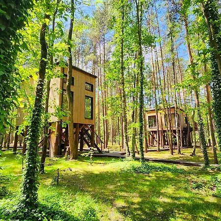 Apartament Tree Olszanka *