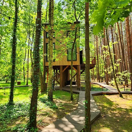 Apartament Tree Olszanka *