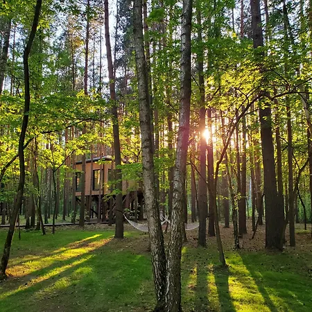 Tree Olszanka Puszcza Marianska