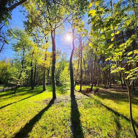 Tree Olszanka Апартаменты