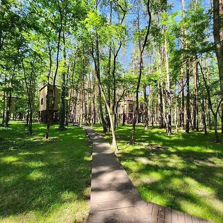 Apartament Tree Olszanka *