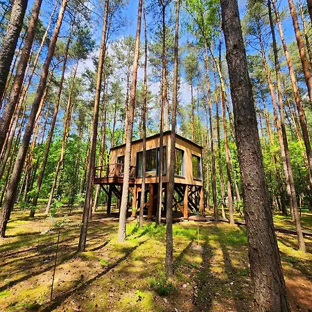 Tree Olszanka Apartament *