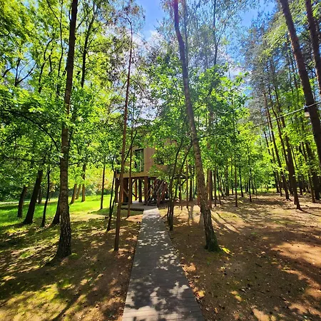 Апартаменты Tree Olszanka