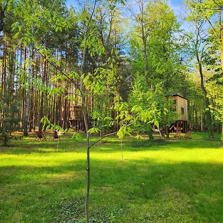 Tree Olszanka Апартаменты *